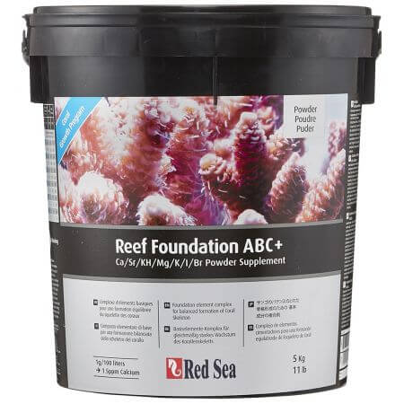 Red Sea Reef Foundation ABC+